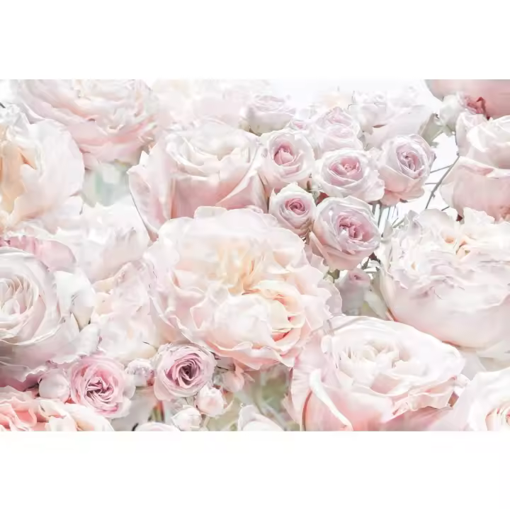 256 x 368,8 x 0,08 cm Papel pintado fotográfico para pared, 8 partes diseño de rosas - 1