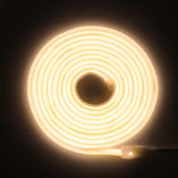 XUNATA Cinta LED Flexible de 220V COB Neón 288leds/M con Enchufe EU Impermeable para Exteriores RA90 3000K-6000K Estilo Moderno Potencia 7-9W/M - details 7
