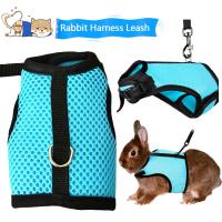 Correa de Malla Suave para Mascotas Pequeñas Conjunto de Correa y Correas para Conejos, Hamsteres, Cobayas Suministros para Mascotas - details 4
