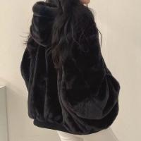 Chaqueta Abrigo de Moda Coreana para Mujer Gruesa, Cálida, Abajo, Estilo Casual, Manga de Cremallera - details 3