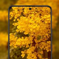 Xiaomi Redmi Note 13 Pro+ Cámara Lente Protector de Vidrio Templado Película Protectora de Pantalla de 9H Accesorios de Electrónica - details 5