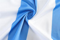 Camiseta de fútbol Argentina No.10 para niños y adultos, tallas 14-3XL para adultos, Home 24-25 - details 21