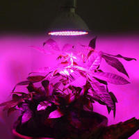 Lámpara LED E27 para cultivo de plantas, 1/2 cabezales, 6W, 15W, 20W - details 16
