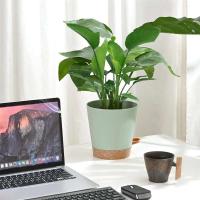 Planta de interior y exterior riego automático flor de alto drenaje ETA, con bandeja de almacenamiento, 7 pulgadas, 3 paquetes - details 5