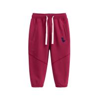 Nuevos Pantalones de Chándal para Niños Primavera-Otoño Diseño de Dinosaurio Pantalones para Bebés - details 4