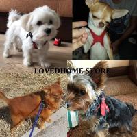 Lindo arnés perros pequeños chaleco suave cachorro pequeño gato Collar mascotas pecho de cuero para Chihuahua Yorkie maltés - details 1