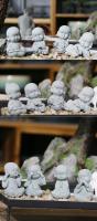Pequeños monjes budistas, figuritas de budismo tibetano, estatua de piedra de Buda, adorno de coche de jardín, meditación, decoración del acuario del hogar - details 10