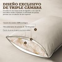 Plumón de plumas orgánico almohadas 50x75 Paquete de 2 Unidades, Lujosa almohada para dormir de hotel de 3 cámaras, Almohada 50x75 cm plumón con funda 100% algodón y relleno de plumón de ganso, Blanco - details 4