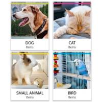 Ferplast Imac Royal Canin Flamingo MPS Ferribiella Stefanplast