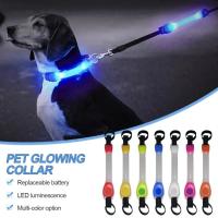 Collar brillante de seguridad para perros Resistente al agua, multicolor con luz LED intermitente - details 0