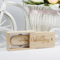 JASTER USB 2.0 Flash Drive de 128GB Regalo Creativo de Negocios con Caja de Madera - details 5