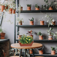 METRO rectangular de plástico flores verduras, ventanas CA con bandejas de té para uso interior y exterior, 4 piezas - details 3