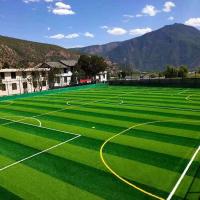 Césped sintético de fútbol escolar para campos de fútbol, ​​deportes al aire libre, alfombra de césped Artificial falso, césped de gimnasio - details 2