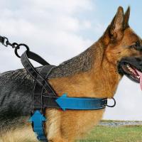 Chaleco con arnés para caminar para mascotas de nailon, chaleco con correa para perro ajustable y resistente al desgaste con tiras reflectantes a prueba de explosiones - details 5