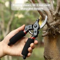 Tijeras De Poda Horticultura Forma De Pico De Pájaro SK5 Para Rama De Frutas Flores Poda De Jardín Herramientas De Poda Para El Hogar - details 0