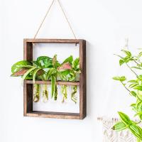 Plantas colgantes montadas en la pared, tubo de ensayo, flor, brote, Terrario de vidrio, marco de madera para el hogar, jardín, decoración de boda - details 4
