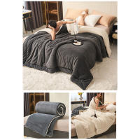 Manta de felpa de cordero grueso de doble capa, forro polar de felpa a cuadros para cama, sofá, manta de lana de Coral suave y cálida, mantas de invierno - details 15