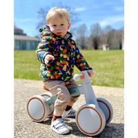 Bicicleta Infantil a Partir de 1 año, Juguete para niños de 12 a 24 Meses, Primera Bicicleta sin Pedal con 4 Ruedas, Regalo de cumpleaños - details 2