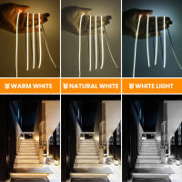 GAHADA Tira LED Ultra Delgada de COB 12V 24V 384Led/m Luces LED Flexibles para Decoración de Dormitorio Iluminación y Decoración - details 1