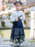 Conjunto de Falda Hanfu para Niñas Otoño 2025 Traje de Estilo Chino Antiguo para Actuaciones de Recitación Zapatos y Ropa - details 32