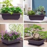 ETA de plástico de entrenamiento rectangular con bandeja de drenaje, cultivo de plantas bonsái jugosas ETA, decoración del hogar - details 10