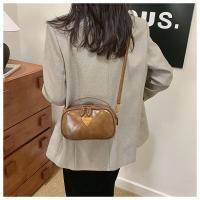 Bolso de almohada de moda 2025 Nuevo, bolso retro de cien hombros, bolso casual para mujer, negro - details 16
