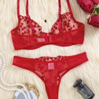 Conjunto de sujetador sexy ligero bordado perspectiva malla sexy conjunto sexual - details 2