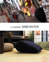 Almohada inflable para cama, cojín de ayuda para adultos y parejas, muebles de cuña, sofá de juegos - details 3
