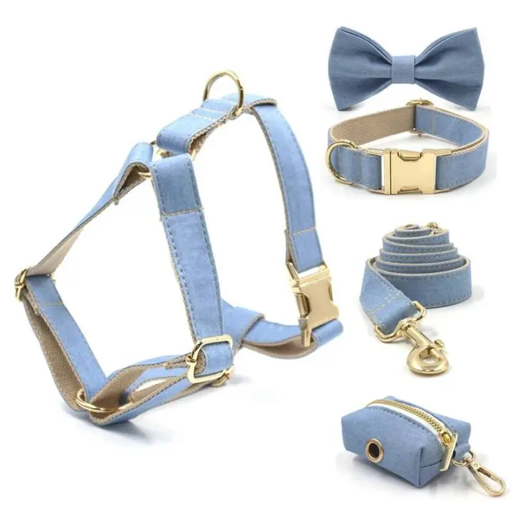 Perro Vaquero Azul Claro con nombre, Correa de collar personalizada Perros Pequeños, medianos y grandes, par, ARN - 1