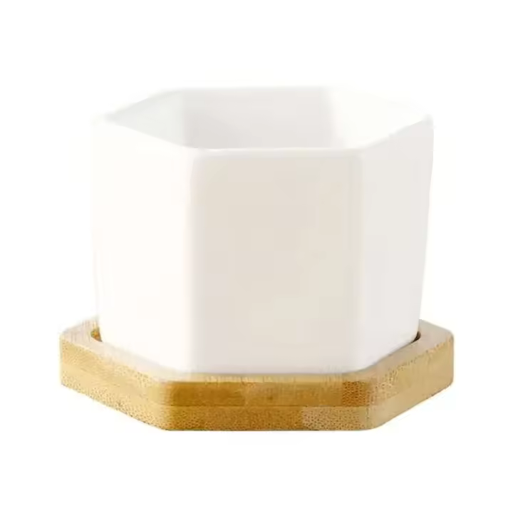 Bonsái blanco geométrico cerámica cuadrado pequeño y jugoso cactus moderno ETA, bandeja de bambú - 1