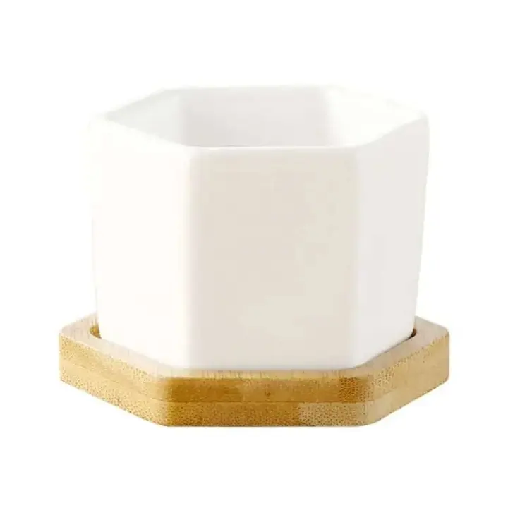 Bonsái blanco geométrico cerámica cuadrado pequeño y jugoso cactus moderno ETA, bandeja de bambú - 1