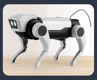 Robot Solar Rc para perro y gato, experimento científico, construcción artesanal, herramienta de aprendizaje, Robots educativos, Kit de dispositivos tecnológicos para chico - details 4