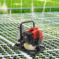 Bomba de Agua de Alta Potencia de 1400W Motor de Doble Troke con Cilindro Único - details 15