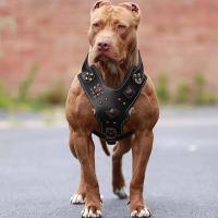Arnés cuero genuino, arneses duraderos grandes, chaleco entrenamiento mascotas rehados con accesorios de Metal para perros - details 11