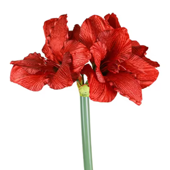4 cabezas de flores artificiales de clivia, rama de arte Floral, flores de orquídeas artificiales hechas a mano, flor falsa de tacto Real - 1
