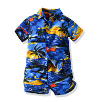 Mangas cortas de verano, camisas de flores, pantalones cortos para niños, conjunto casual de dos piezas, ropa de playa multicolor para bebés y niños - details 5