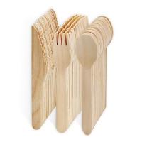 EXZACT Disposable Wooden 150 Pieces