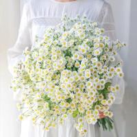 Nuevo Ramo de flores artificiales pequeñas y frescas, 30 cabezas de flores de seda, estilo Ins, - details 1