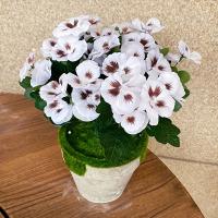 Flores Artificiales Vibrantes 6 Manojas de Colores Mixtos para Decoración del Hogar, Bodas, Fiestas en el Jardín, Día de la Madre y Más Decoraciones Florales Sin Contenedor - details 8