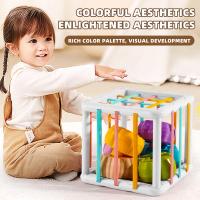 Juguetes Educativos Montessori para bebés, clasificación de formas, ejercicio de la Coordinación mano-ojo para mejorar la percepción 3D - details 5