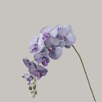 9 ramas artificiales de Phalaenopsis de cabeza, flor de orquídeas de mariposa Artificial hecha a mano realista, flores falsas de tacto Real - details 8