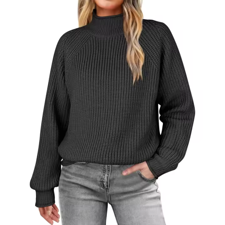 Suéter de cuello alto de color sólido de punto de manga larga para mujer, ropa de otoño e invierno, 2024 - 1