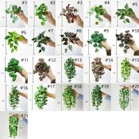 Plantas de hierba de moneda de cobre Artificial suave, hojas de hiedra falsas hechas a mano realistas, Mini ramo para colgar en la pared, decoración del hogar - details 0