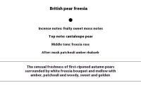 Perfume Spray Unisex de Musk Fragancia Ligera Duradera Atrape Romance Aromaterapia para el Hogar - details 4