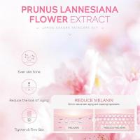 5/3 piezas/set Sakura sets de cuidado de la piel Suero Tónico Limpiador Protector solar Crema para ojos Regalo Producto de cuidado facial - details 7