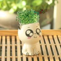 Mini plantas lindas de dibujos animados con forma de cerámica, expresión ETA, gato ETA, decoración de escritorio, pequeños adornos - details 7