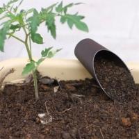 Cubo de cultivo en maceta para bonsái, herramienta de planta de suelo, ayudante de plantas, taza de pala, herramienta de jardín - details 4