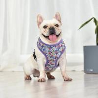 Conjunto de Collar de Bulldog Francés Correa de Nylon Estable con Estampado de Cachorros Gatos - details 14