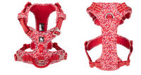 Truelove-Arnés floral sin tirones para mascotas, cinturón de tela de algodón suave transpirable y reflectante, compatible con gatos y perros pequeños o medianos, accesorio de caminar y correr, referencia TLH5655 - details 15
