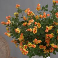 Rama de flor de Rosa Artificial de 65cm, flor de Rosa de imitación de plástico de tacto Real, flores falsas elegantes hechas a mano, decoración para el hogar y la Oficina - details 10